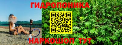 амф Гай