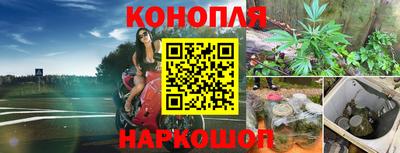 амф Гай