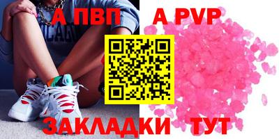 амф Гай