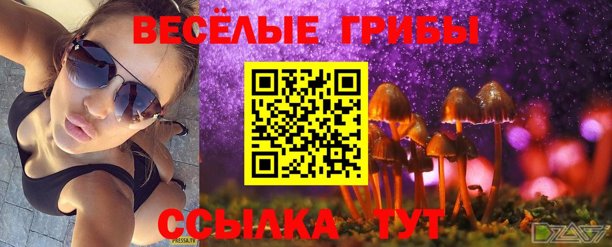 Галлюциногенные грибы MAGIC MUSHROOMS  Вход с VPN  Качканар 