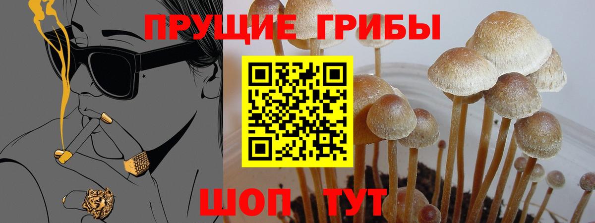 Галлюциногенные грибы Cubensis Качканар